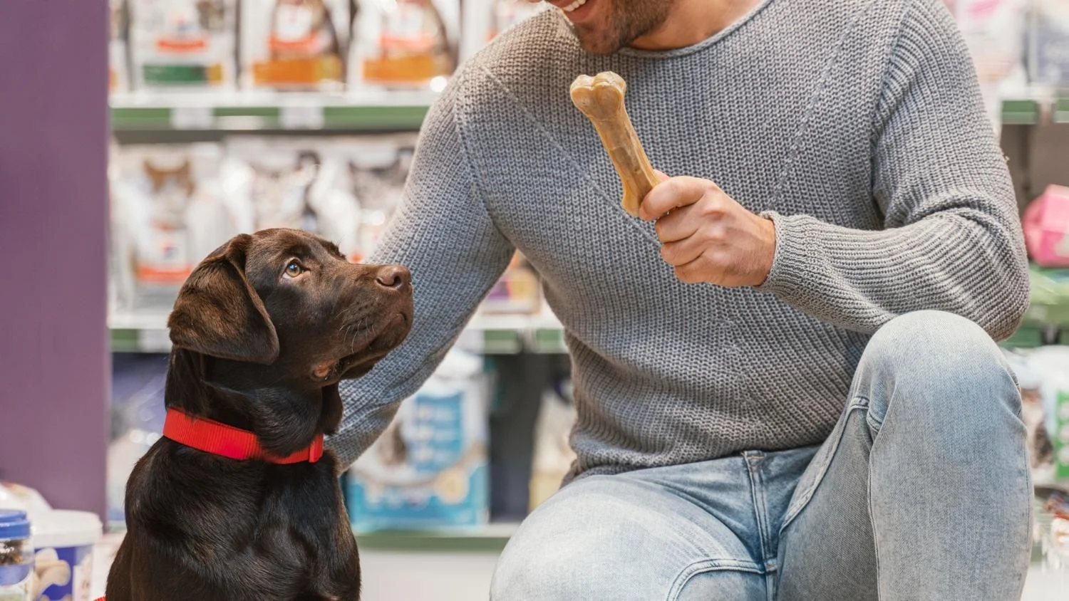 Bully Sticks for Dogs in Bulk for Pet Stores and Wholesale Buyers