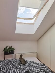How Smarter Daylighting Is Transforming Modern Commercial Spaces