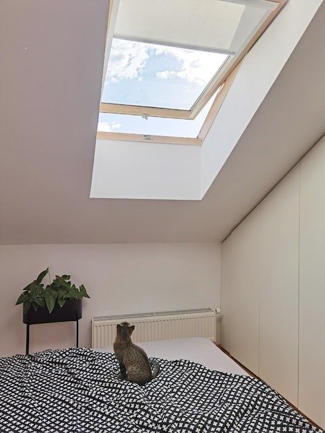 How Smarter Daylighting Is Transforming Modern Commercial Spaces